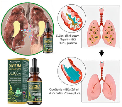 𝗦𝗹𝘂ž𝗯𝗲𝗻𝗮 𝘁𝗿𝗴𝗼𝘃𝗶𝗻𝗮: 𝗖𝗮𝗿𝗲𝗥𝗲𝗴𝗲𝗻® 𝗢𝗿𝗴𝗮𝗻𝗶𝗰 𝗟𝘂𝗻𝗴 𝗖𝗹𝗲𝗮𝗻𝘀𝗶𝗻𝗴 𝗠𝘂𝗹𝗹𝗲𝗶𝗻 𝗟𝗲𝗮𝗳 𝗘𝘅𝘁𝗿𝗮𝗰𝘁 𝗗𝗿𝗼𝗽𝘀 💫 𝐊𝐥𝐢𝐧𝐢𝐜̌𝐤𝐢 𝐝𝐨𝐤𝐚𝐳𝐚𝐧𝐚, 𝐯𝐢𝐬𝐨𝐤𝐨 𝐤𝐨𝐧𝐜𝐞𝐧𝐭𝐫𝐢𝐫𝐚𝐧𝐚 𝐟𝐨𝐫𝐦𝐮𝐥𝐚 𝐤𝐨𝐣𝐚 𝐮𝐛𝐥𝐚ž𝐚𝐯𝐚 𝐤𝐚š𝐚𝐥𝐣, 𝐬𝐥𝐮𝐳, 𝐚𝐬𝐭𝐦𝐮 𝐢 𝐊𝐎𝐏𝐁 — 𝐥𝐚𝐤š𝐞 𝐢 𝐛𝐫ž𝐞 𝐝𝐢š𝐢𝐭𝐞. 💫