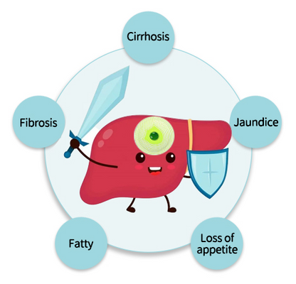 𝗢𝗳𝗳𝗶𝗰𝗶𝗮𝗹 𝗦𝘁𝗼𝗿𝗲:CareRegen® 𝗢𝗿𝗴𝗮𝗻𝗶𝗰 𝗠𝗶𝗹𝗸 𝗧𝗵𝗶𝘀𝘁𝗹𝗲 𝗘𝘅𝘁𝗿𝗮𝗰𝘁 𝗣𝗼𝘄𝗲𝗿𝗳𝘂𝗹 𝗟𝗶𝘃𝗲𝗿 𝗣𝗿𝗼𝘁𝗲𝗰𝘁𝗶𝗼𝗻 𝗗𝗿𝗼𝗽𝘀 🌿 𝐂𝐥𝐢𝐧𝐢𝐜𝐚𝐥𝐥𝐲 𝐩𝐫𝐨𝐯𝐞𝐧, 𝐡𝐢𝐠𝐡𝐥𝐲 𝐜𝐨𝐧𝐜𝐞𝐧𝐭𝐫𝐚𝐭𝐞𝐝 𝐟𝐨𝐫𝐦𝐮𝐥𝐚 𝐭𝐡𝐚𝐭 𝐝𝐞𝐭𝐨𝐱𝐢𝐟𝐢𝐞𝐬 𝐭𝐡𝐞 𝐥𝐢𝐯𝐞𝐫, 𝐫𝐞𝐥𝐢𝐞𝐯𝐞𝐬 𝗳𝗮𝘁𝘁𝘆 𝗹𝗶𝘃𝗲𝗿, 𝗵𝗲𝗽𝗮𝘁𝗶𝘁𝗶𝘀 & 𝗹𝗶𝘃𝗲𝗿 𝘀𝘁𝗿𝗲𝘀𝘀 — 𝗻𝘂𝗿𝘁𝘂𝗿𝗲 𝘆𝗼𝘂𝗿 𝗹𝗶𝘃𝗲𝗿, 𝗳𝗮𝘀𝘁𝗲𝗿 & 𝘀𝗮𝗳𝗲𝗹𝘆. 🌿